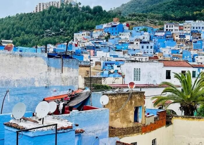 FB IMG 1737074784995