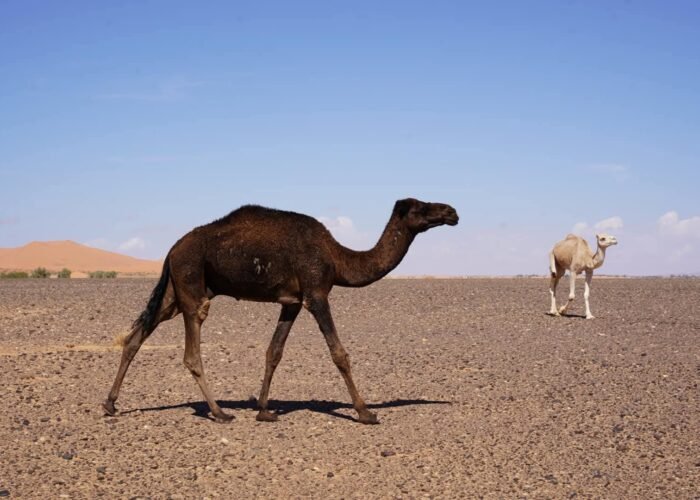 FB IMG 1755623134008