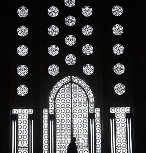 gall4 Small rotated 1