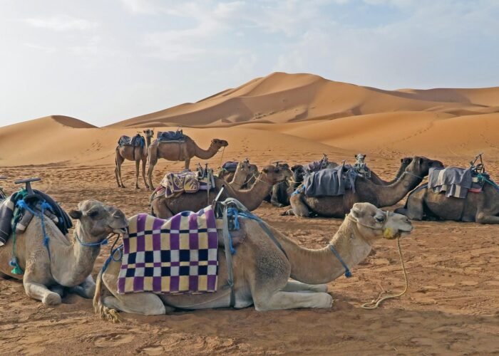 morocco 6861365 1920