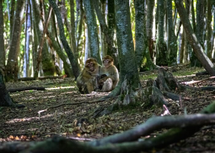 pexels andreas 246992646 16394719 1 scaled 1