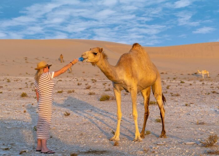 pexels chris clark 1933184 5604883 scaled 1