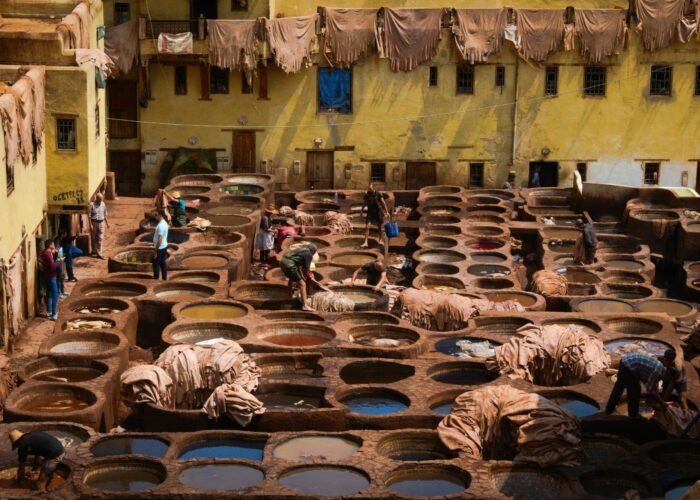 pexels thomas rainero 291933503 17042437 1 scaled 1