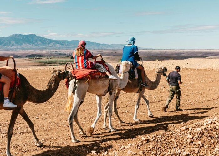 pexels tiagoalvar 17492433 scaled 1