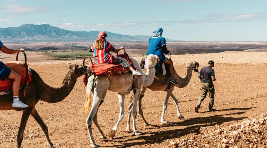 pexels-tiagoalvar-17492433-scaled