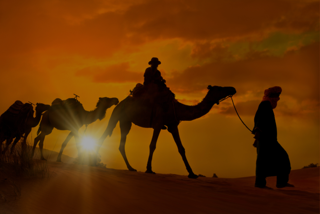 Morocco tours