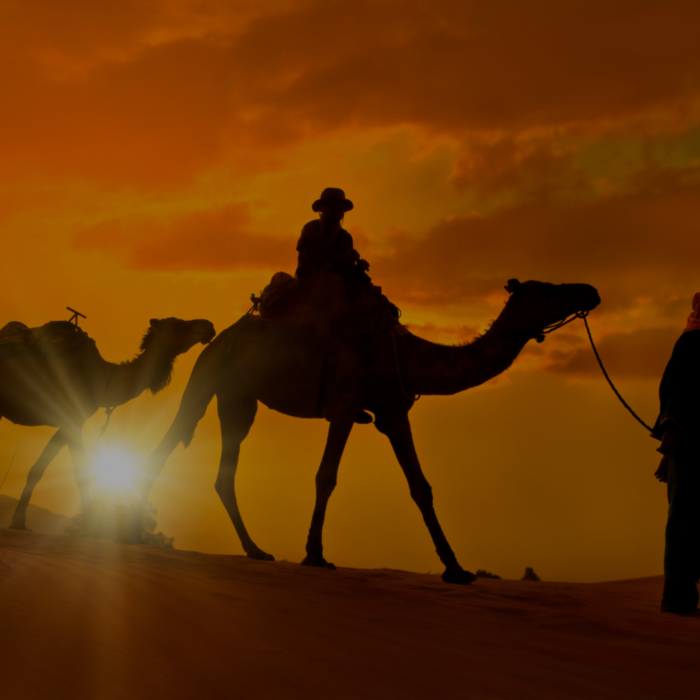 Morocco tours